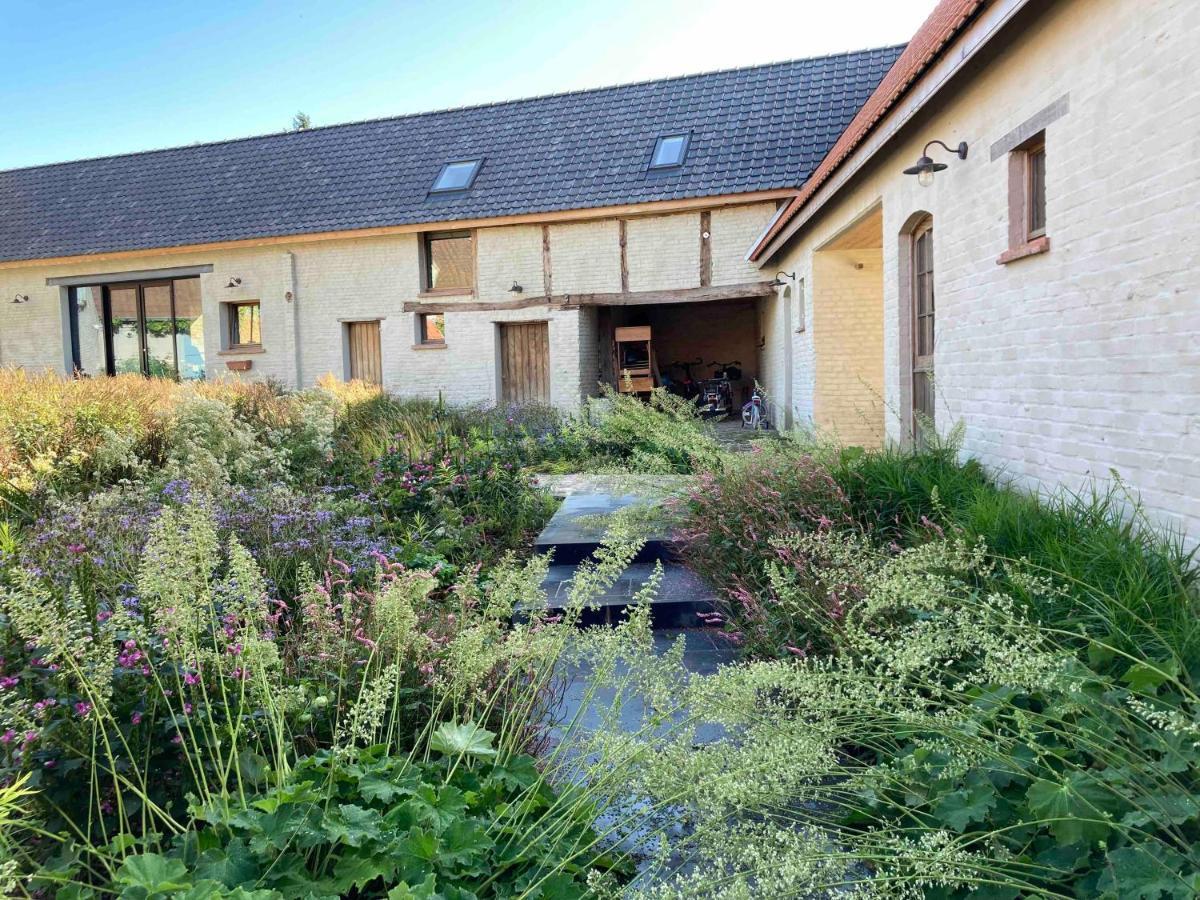 Nachtegael Hoekhuis, Knusse Woning Met Prachtig Vergezicht Kluisbergen Exteriör bild