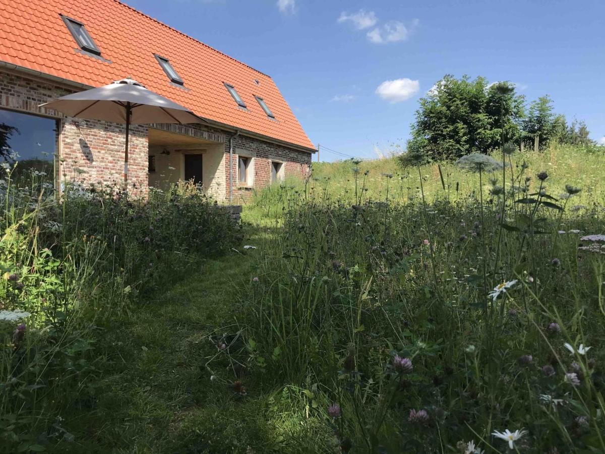 Nachtegael Hoekhuis, Knusse Woning Met Prachtig Vergezicht Kluisbergen Exteriör bild