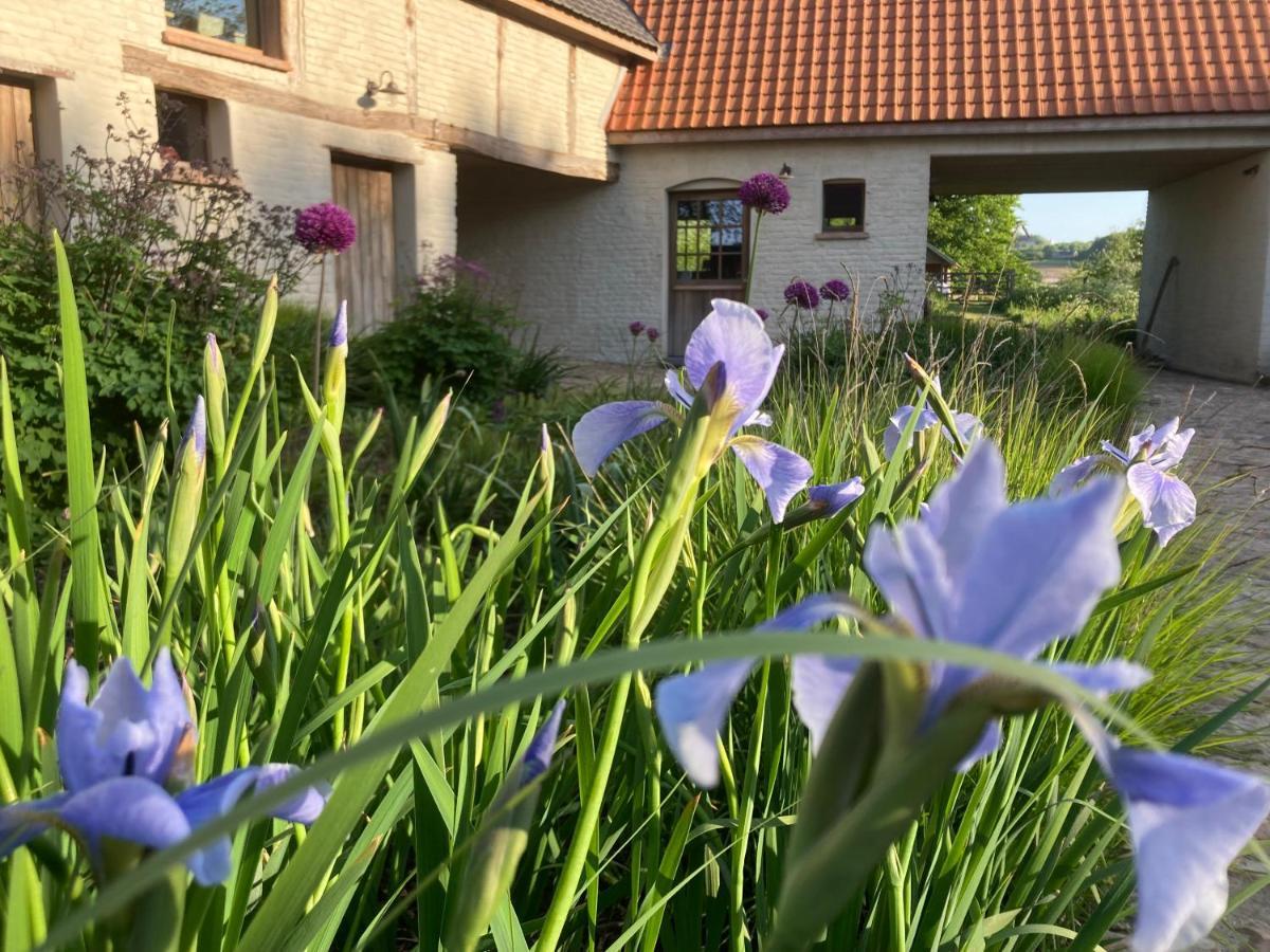 Nachtegael Hoekhuis, Knusse Woning Met Prachtig Vergezicht Kluisbergen Exteriör bild
