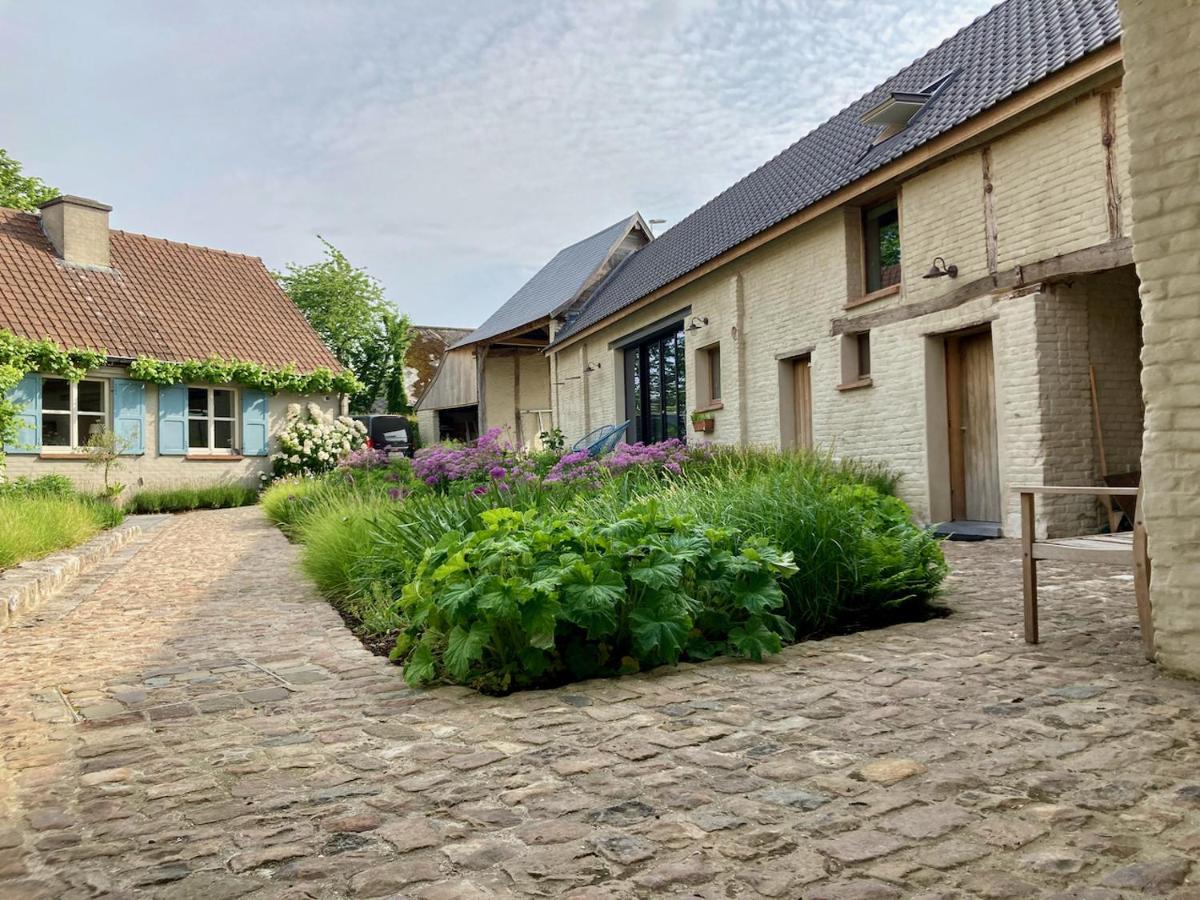 Nachtegael Hoekhuis, Knusse Woning Met Prachtig Vergezicht Kluisbergen Exteriör bild