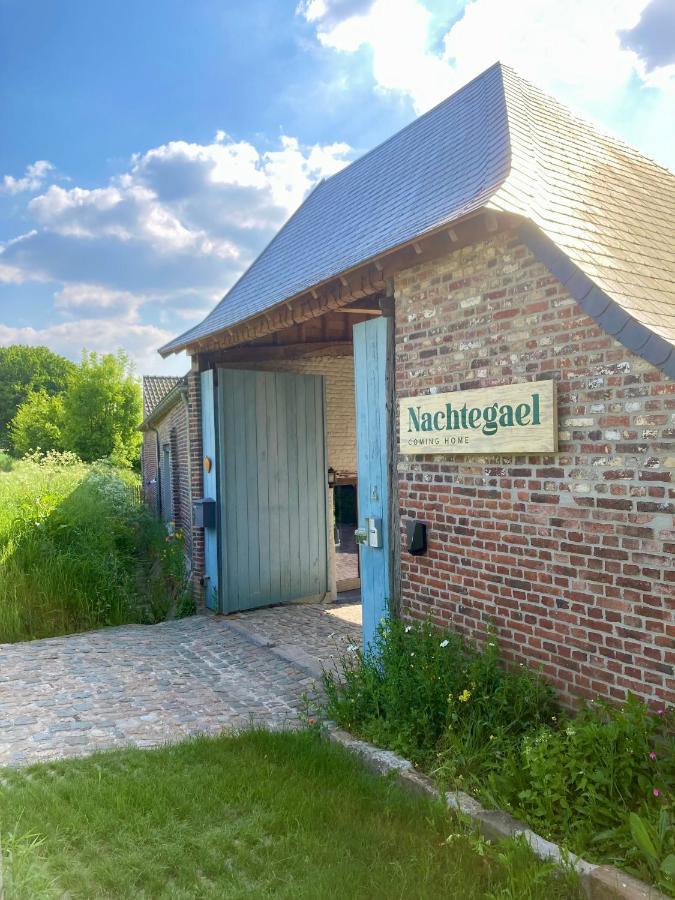 Nachtegael Hoekhuis, Knusse Woning Met Prachtig Vergezicht Kluisbergen Exteriör bild