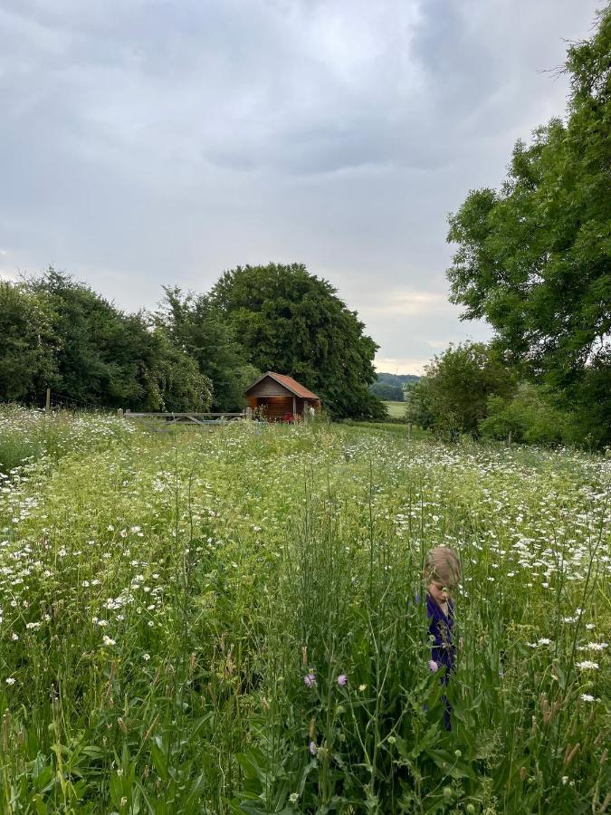 Nachtegael Hoekhuis, Knusse Woning Met Prachtig Vergezicht Kluisbergen Exteriör bild